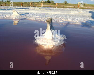 salt in the salty sea in Sivash Stock Photo