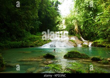 Unidentified female tourist swimming in the Reach Falls in Portland parish, Jamaica Stock Photo