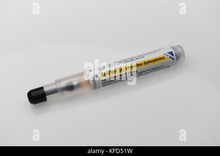 A junior Epipen which carries a shot of adrenaline to be used in an emergency incase of an life threatening allergic reaction Stock Photo