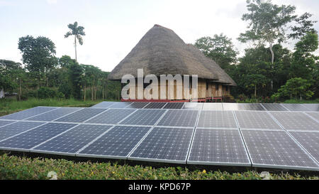 Solar panels generate electricity  outside a traditional palm leaf roofed house at the Kichwa Anangu Community on the banks of the Napo river. Yasuni Stock Photo