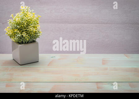 Small decorative plant on a wooden table Stock Photo