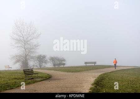 Man walking alone along a diverging path  in Vanier Park on a foggy day in winter, Vancouver, BC, Canada Stock Photo