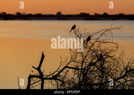 African sunset on Zambezi Stock Photo