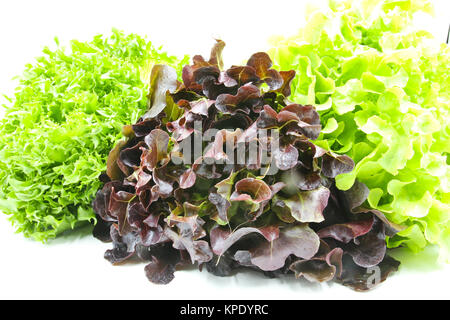 Fresh oak and frillice Iceberg leaf lettuce isolated on white background Stock Photo