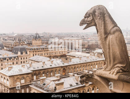 Chimera of the Notre-Dame of Paris cathedral (Our Lady) above the city rooftops with copy space, France, Europe. Stock Photo