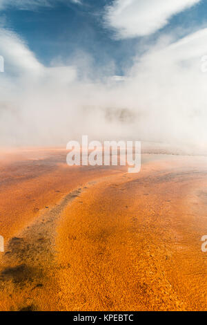 Bacterial Mat at Grand Prismatic Hot Spring in Yellowstone National Park, Wyoming