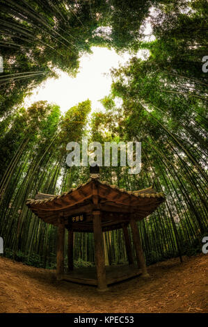 Small pagoda in a Bamboo forest Stock Photo