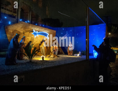 Rome, Italy. 14th Dec, 2017. The center of Rome is getting ready for Christmas. The traditional Christmas tree set up in Venice Square and the illuminations on the central Corso street. Credit: Patrizia Cortellessa/Pacific Press/Alamy Live News Stock Photo