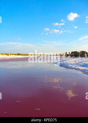 landscape with salty sea in Sivash Stock Photo