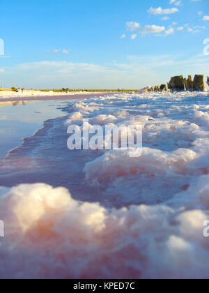 landscape with salty sea in Sivash Stock Photo