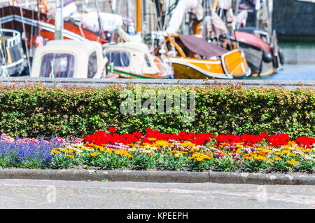 colourful flower bed in the background a harbor. Stock Photo