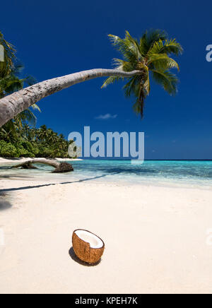 lonely beach with coconut trees Stock Photo