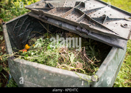 Plastic composter in a garden - filled with decaying organic material to be used as a fertilizer for growing home-grown, organic vegetables (shallow DOF) Stock Photo