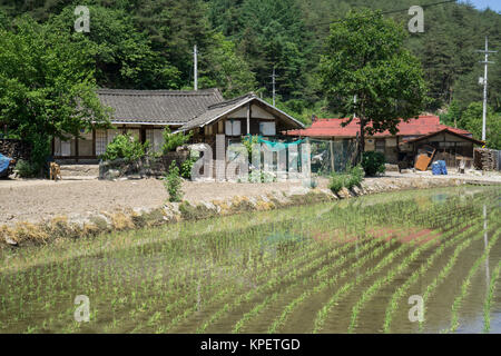 country farm house Stock Photo