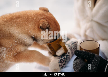 couple with a dog in winter forest Stock Photo