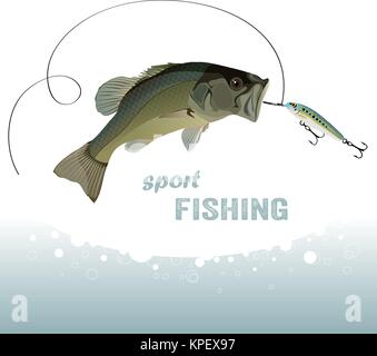 bass fishing, bass catches the bait, water spray, vector illustration Stock Vector