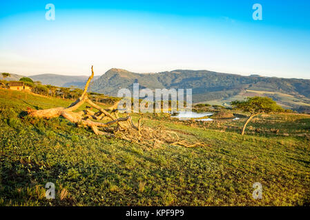 Drakensberg mountains landscape at  sunrise with dead tree in the foreground. The background shows a water hole Stock Photo