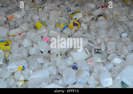 Bin full of used white and opaque plastic bottles for recycling in Lake Pleasant, NY USA Stock Photo