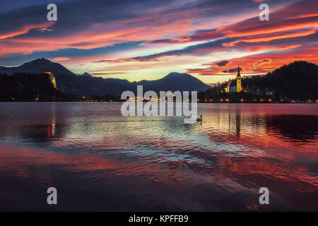 Sunrise at the beautiful Lake Bled with swan and the Pilgrimage Church of the Assumption of Maria and Bled Castle at background at autumn Stock Photo