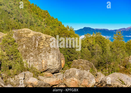 Patagonia landscape forest scene at queulat national park, aysen, chile Stock Photo