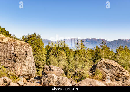 Patagonia landscape forest scene at queulat national park, aysen, chile Stock Photo