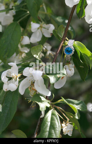 Blue diamond engagment ring nestled on blooming branch Stock Photo