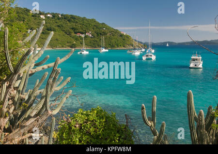 UK, BVI, Jost van Dyke, White Bay.  Popular moorings for bareboaters and charter sail. Stock Photo