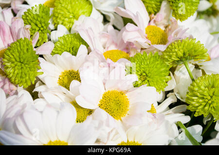 yellow white paper flowers seamless background Stock Photo