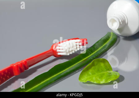 Toothbrush and open tube of toothpaste with green leaves, conceptual image,  promoting healthy living. Copy space. Stock Photo
