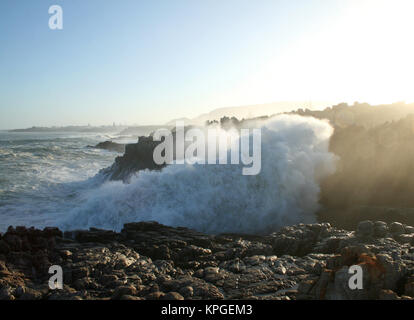 Wave breaking over rocks,  Splash Rock, Hermanus, South Africa Stock Photo