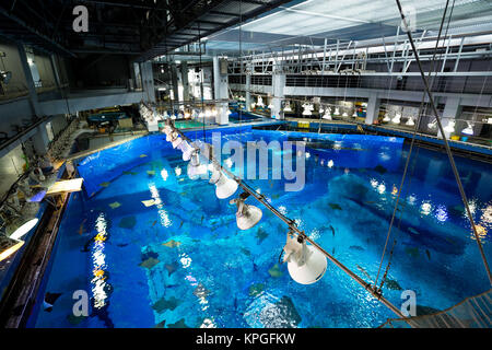 Water tank in Aquarium Stock Photo