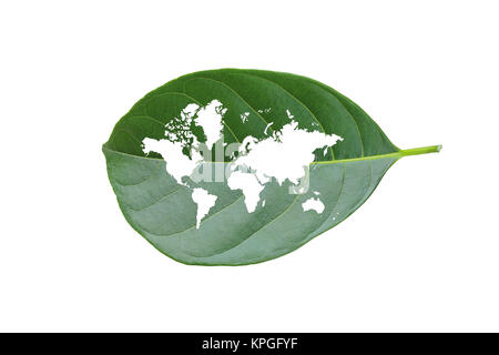 world map on leaf isolated on white background Stock Photo