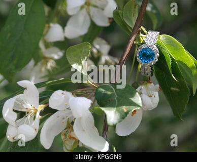 Blue diamond engagment ring nestled on blooming branch Stock Photo