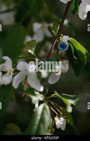 Blue diamond engagment ring nestled on blooming branch Stock Photo