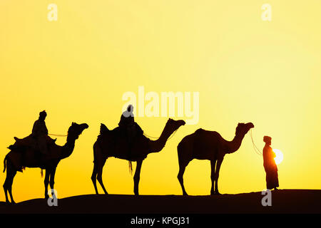 Camels and camel driver silhouetted at sunset, Thar Desert, Jodhpur, India. Stock Photo