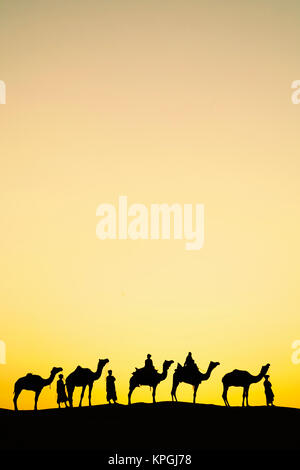 Camels and camel driver silhouetted at sunset, Thar Desert, Udaipur, India. Stock Photo