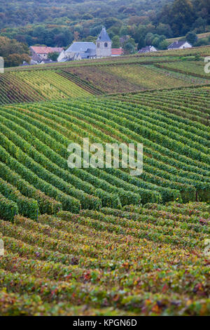 France, Marne, Chigny les Roses, visit of Champagne Gardet caves ...