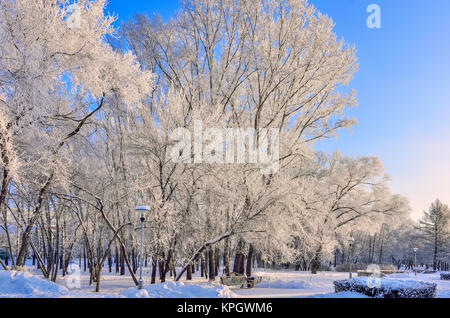 Wooden bench on the alley of the winter city park at sunny day under the branches of trees hoarfrost covered - beautiful urban winter landscape Stock Photo