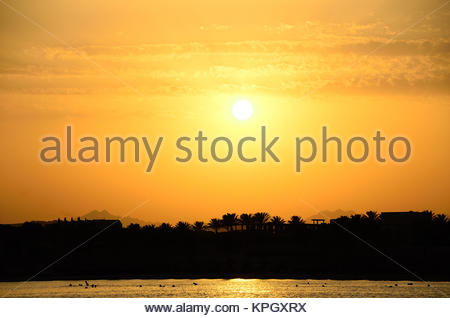 Warmer Sonnenuntergang Mit Strand Am Meer Und Vielen Palmen Stock Photo Alamy