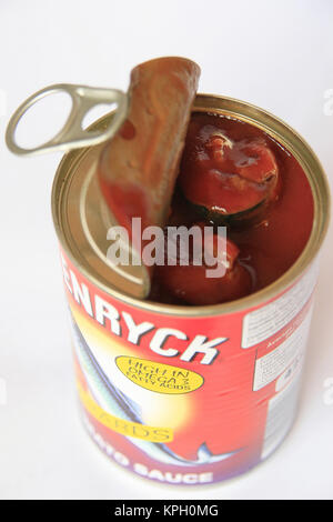 Can of Glenrych pilchards in tomato sauce, South Africa. Stock Photo