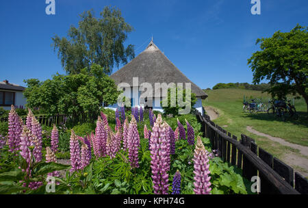 Parish widows house with flower garden, Gross Zicker, Ruegen island, Mecklenburg-Western Pomerania, Baltic Sea, Germany, Europe Stock Photo