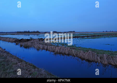 Flooded meadows at swamp Teufelsmoor in Germany near artist village Worpswede at blue hour Stock Photo