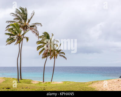 Views of the Ocean from the Anakena Beach in Easter Island Stock Photo