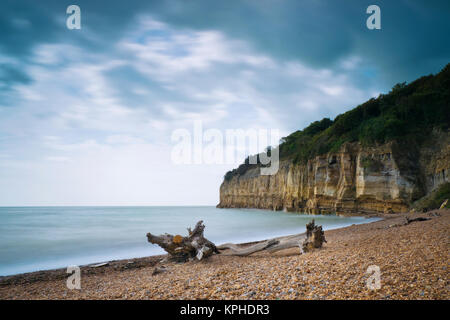 Sand dunes and beach, Camber Sands, Camber, near Rye, East Sussex, United Kingdom Stock Photo