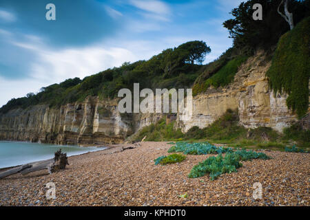 Sand dunes and beach, Camber Sands, Camber, near Rye, East Sussex, United Kingdom Stock Photo