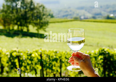 glass of white wine exposed towards the sun, vineyard on background Stock Photo