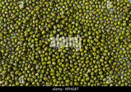 Mung beans isolated on white background. also known as moong bean, green gram, green bean. its in legume family species