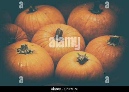 yellow texture of lots of pumpkin like decorative food Stock Photo