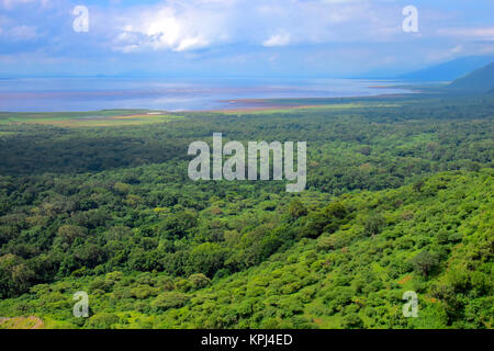 Lake Manyara National park in Mto wa Mbu in the rift valley, Tanzania Stock Photo