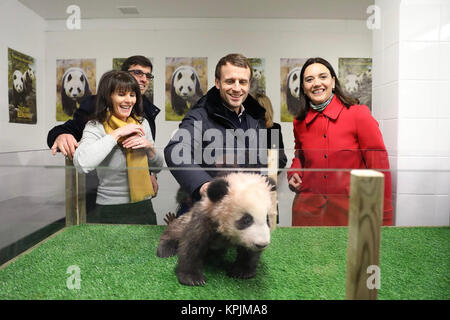 Saint Aignan, France. 16th Dec, 2017. French President Emmanuel Macron (C, Front) reacts with the panda cub Yuan Meng at Beauval zoo in Saint-Aignan, central France, on Dec. 16, 2017. French President Emmanuel Macron on Saturday visited Yuan Meng, the country's first-ever panda cub, while he was celebrating his 40th birthday with family at Beauval zoo, the zoo said in a statement. Credit: Beauval zoo/Xinhua/Alamy Live News